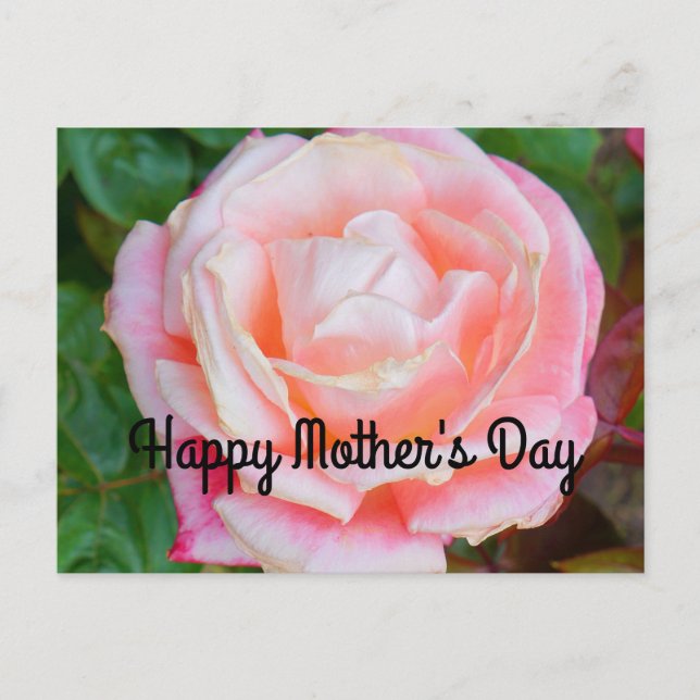 Happy Mother's Day Gemini Rose #1 Postcard (Front)