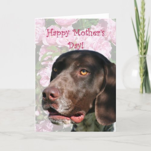 Happy Mothers day German Shorthaired Pointer Card