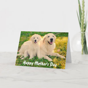 Happy Mother's Day Golden Retriever Dogs Animal Card