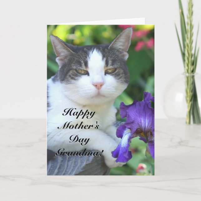 Happy Mother's day Grandma Cat in the garden card (Front)