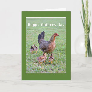 Happy Mother's Day Hen and Chicks Card