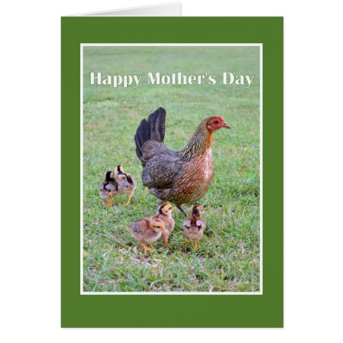 Happy Mother's Day Hen and Chicks Card
