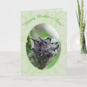 Happy Mother's Day Hummingbirds in Nest Photo Holiday Card