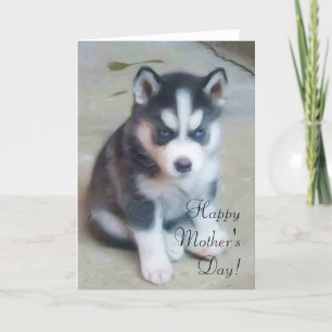 Happy Mother's Day Husky greeting card