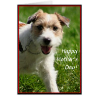 Happy Mother's Day Jack Russell Terrier card