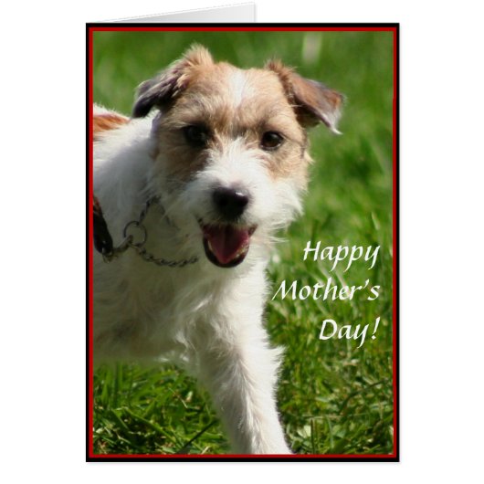 Happy Mother's Day Jack Russell Terrier card (Front)