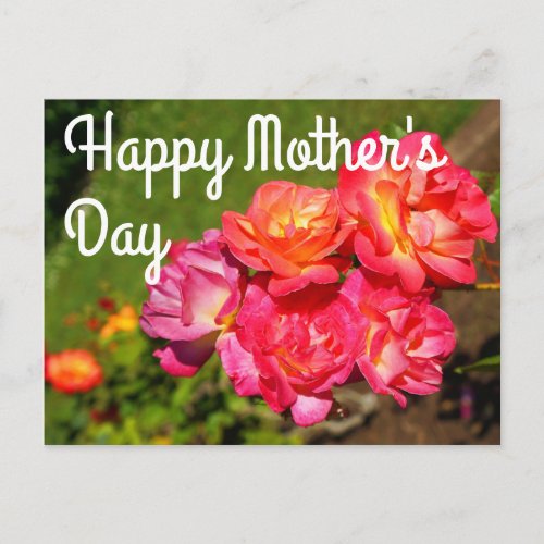 Happy Mothers Day Josephs Coat Rose 1 Postcard