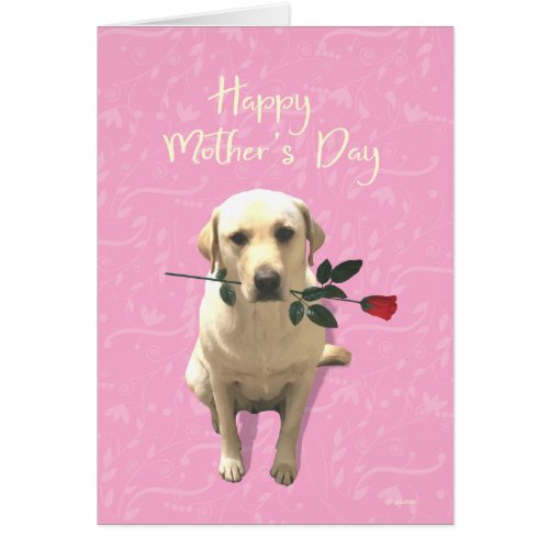 Happy Mothers Day Labrador Dog Rose Adorable