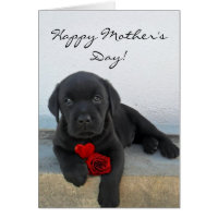 Happy Mother's Day Labrador puppy card