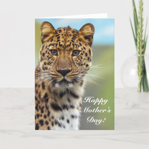 Happy Mother's Day Leopard greeting card