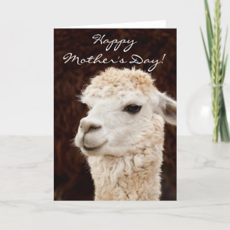 Happy Mother's Day llama greeting card