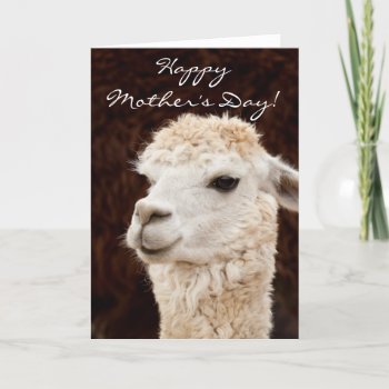 Happy Mother's Day Llama Greeting Card by pdphoto at Zazzle