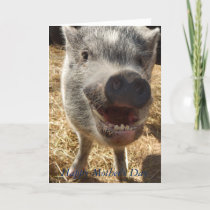 Happy Mother's Day, Mini Pig Greeting Card, Card