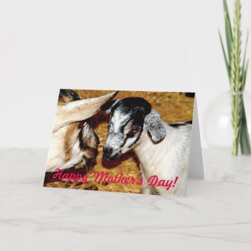 Happy Mothers Day Mom and Baby Goat Card