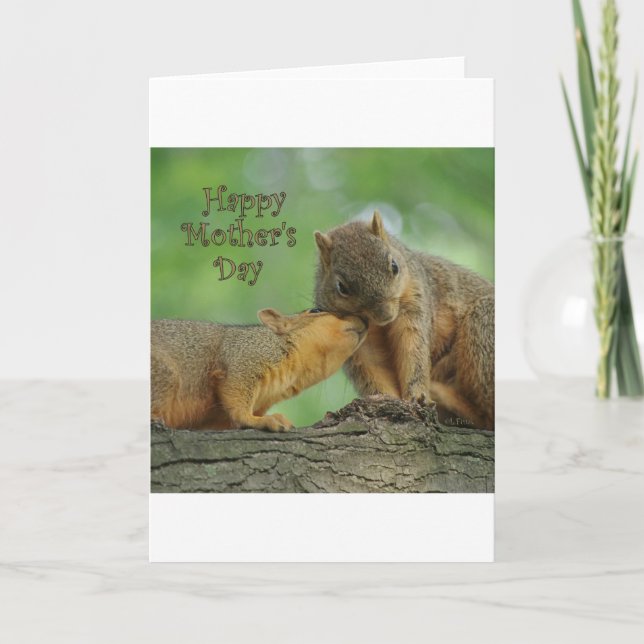 Happy Mother's Day - Mom and Baby Squirrel Card (Front)