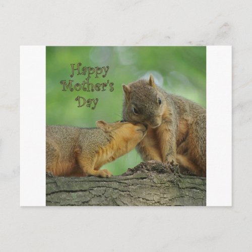 Happy Mothers Day _ Mom and Baby Squirrel Postcard