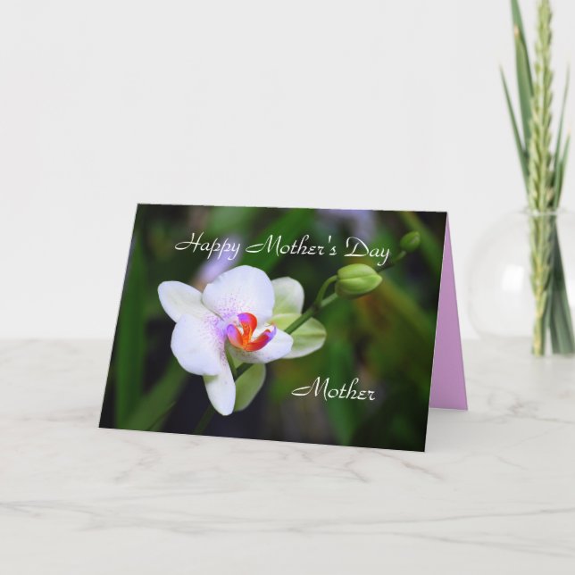 Happy Mother's Day Mother Phalaenopsis Orchid Card (Front)