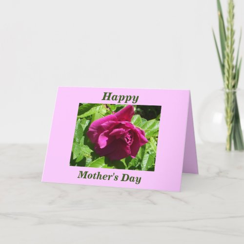 Happy Mothers Day_One Lovely Red Rose Card