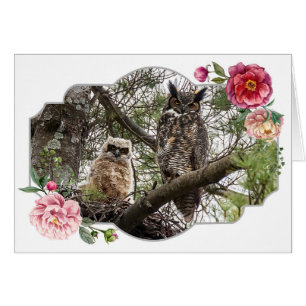 Happy Mother's Day, Owls Cards