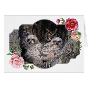Happy Mother's Day, Owls Cards
