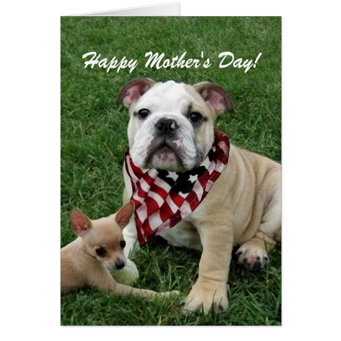 Happy Mother's Day Patriotic bulldog greeting card