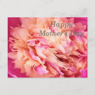 Happy Mother's Day Peony Postcard