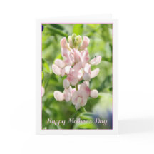 Happy Mother's Day Pink Bluebonnet Greeting Card