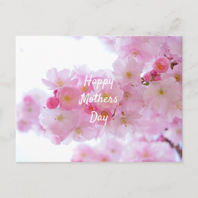 Happy Mothers Day Pink Cherry Tree Postcard (Front)