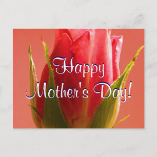 Happy Mother's Day Pink Rose I Postcard