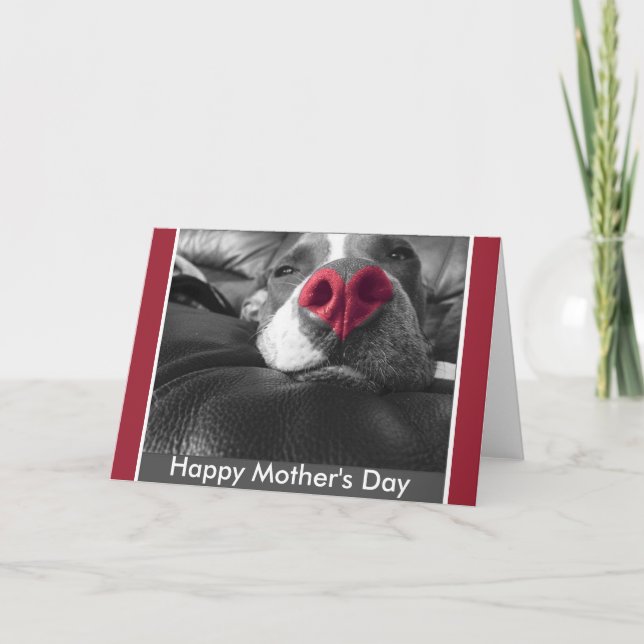Happy Mother's Day Pitbull Greeting Card (Front)