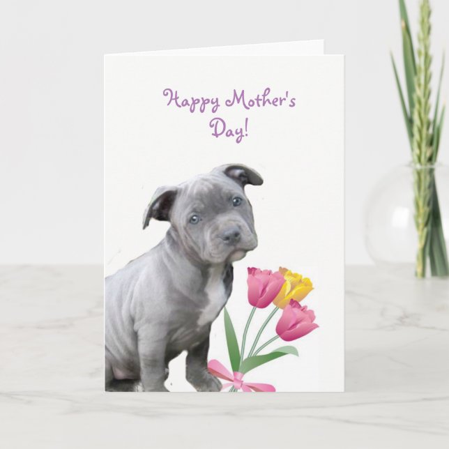 Happy Mother's Day Pitbull puppy card (Front)