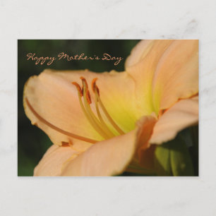 Happy Mother's Day postcard