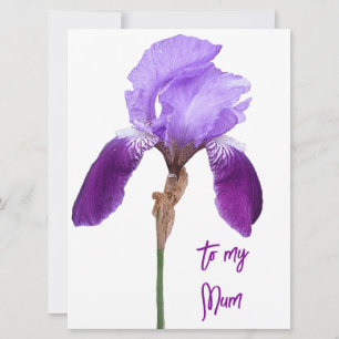 Happy Mother's Day pretty purple iris floral Holiday Card