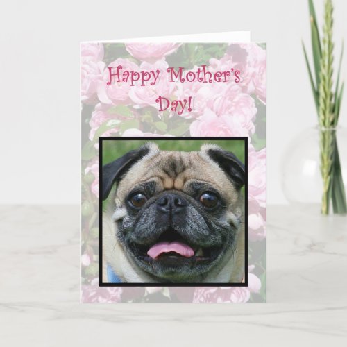 Happy Mothers Day Pug Dog Card