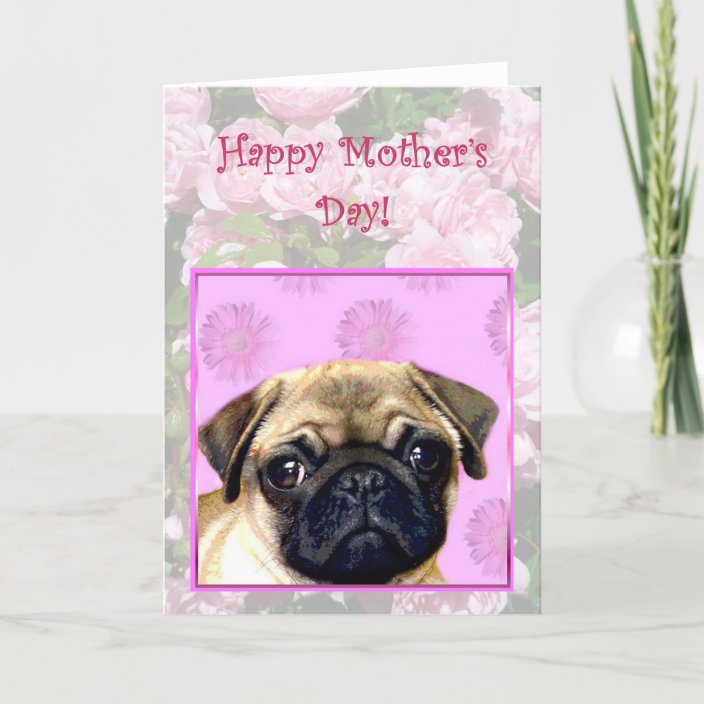 happy-mother-s-day-pug-dog-greeting-card-zazzle
