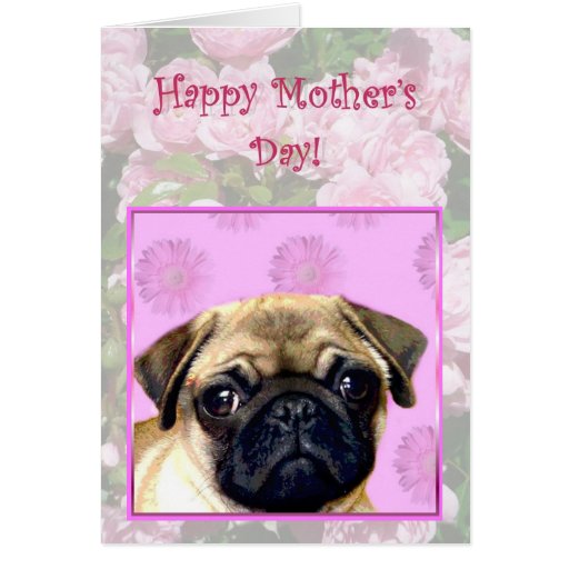 Happy Mother's day Pug dog greeting card | Zazzle