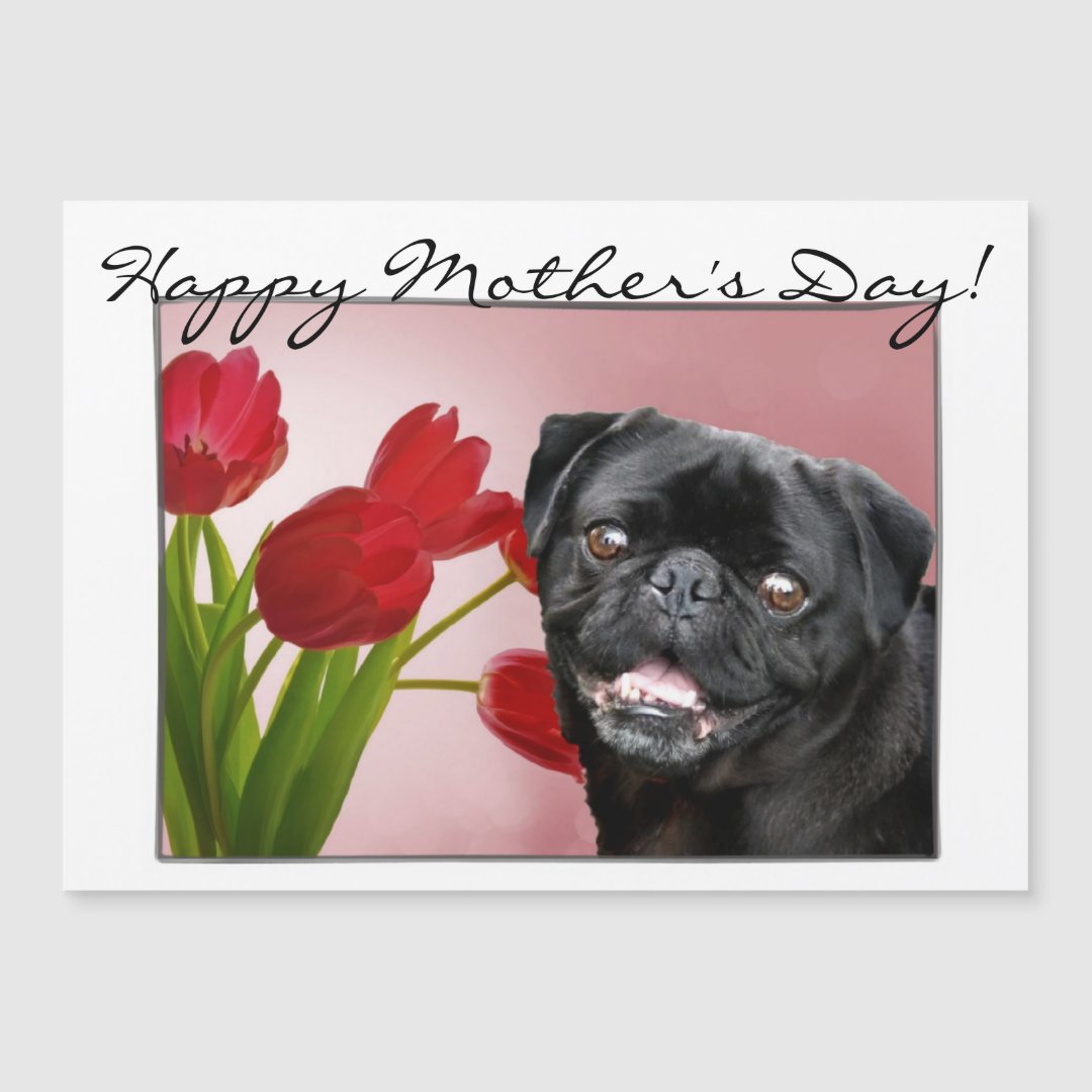 Happy Mother's day pug magnetic card | Zazzle