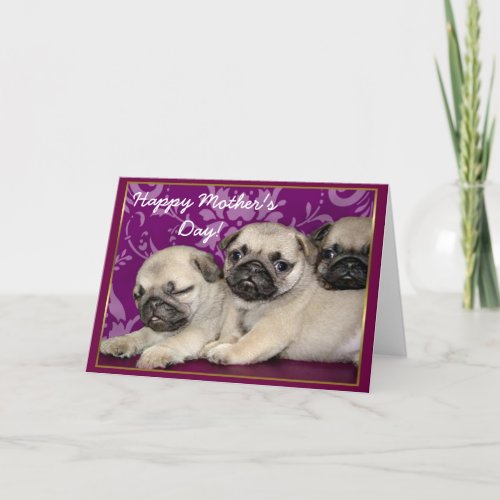 Happy Mothers Day Pug puppies greeting card
