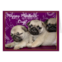 Happy Mother's Day Pug puppies greeting card