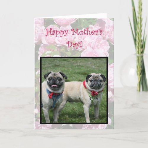 Happy Mothers day pugs greeting card