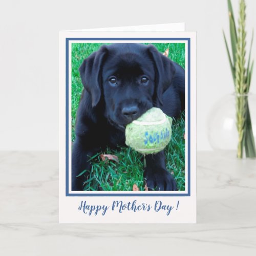 Happy Mothers Day Puppy Black Labrador _ Cute Dog Card