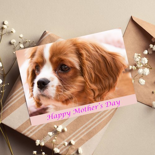 Happy Mothers Day Puppy CKCS Card