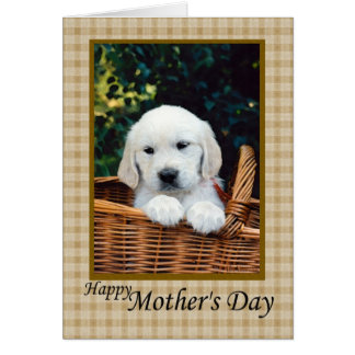 Cute Puppies Happy Mothers Day Cards | Zazzle