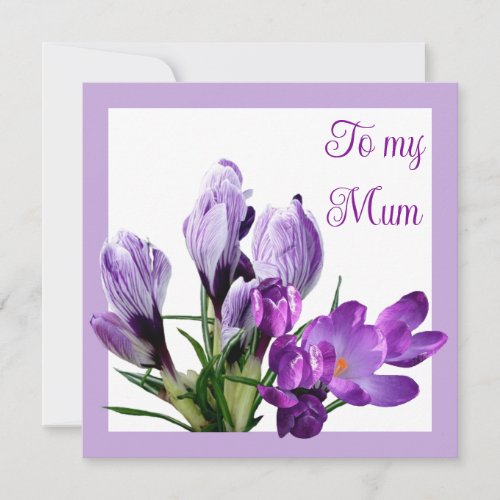 Happy Mothers day purple floral bright colorful  Card