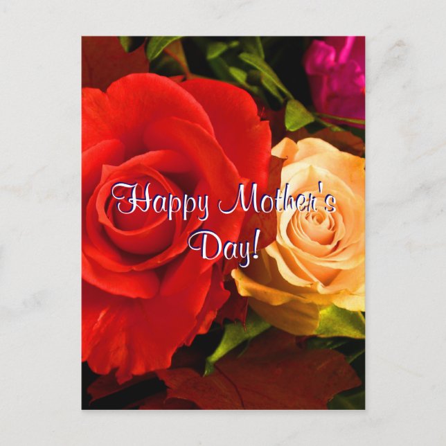 Happy Mother's Day Red Yellow Roses Postcard (Front)