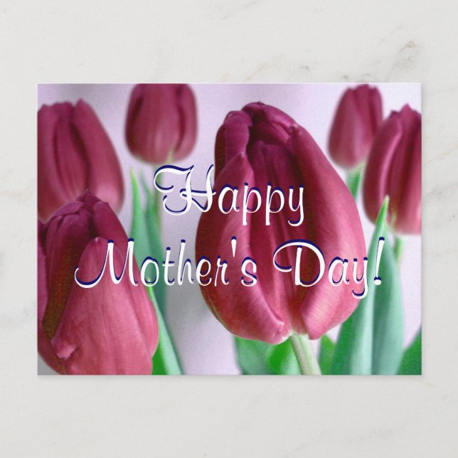 Happy Mother's Day Rosey Tulips Postcard (Front)