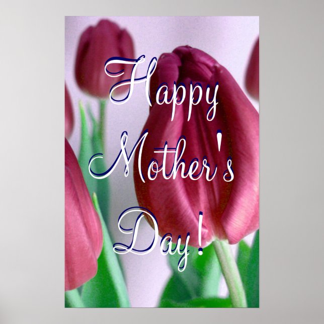 Happy Mother's Day Rosey Tulips Poster (Front)