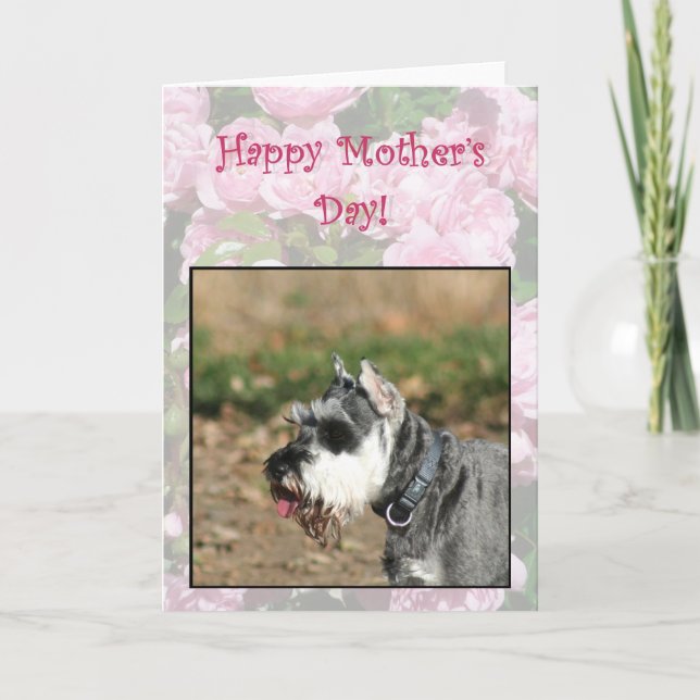 Happy Mother's Day Schnauzer dog greeting card (Front)