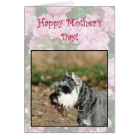 Happy Mother's Day Schnauzer dog greeting card