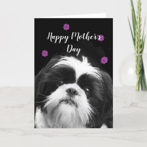 Happy Mothers Day Shih Tzu greeting card